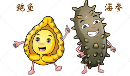 漫画海参,海洋深处的“软黄金”传奇